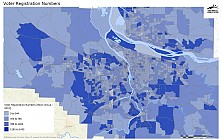 Voter Registration Numbers 